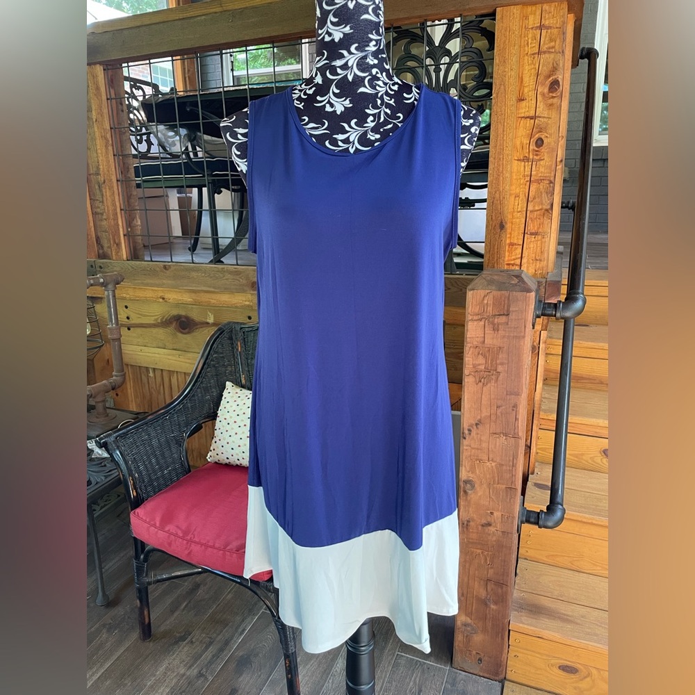 Tiana B. Blue and Silvery White Sleeveless Dress